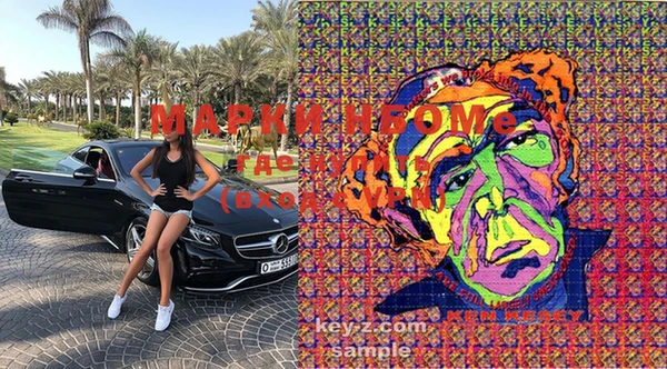 ГАЛЛЮЦИНОГЕННЫЕ ГРИБЫ Вяземский